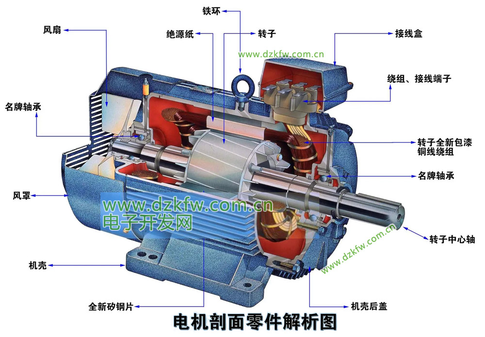 三相異步電動機的結構圖
